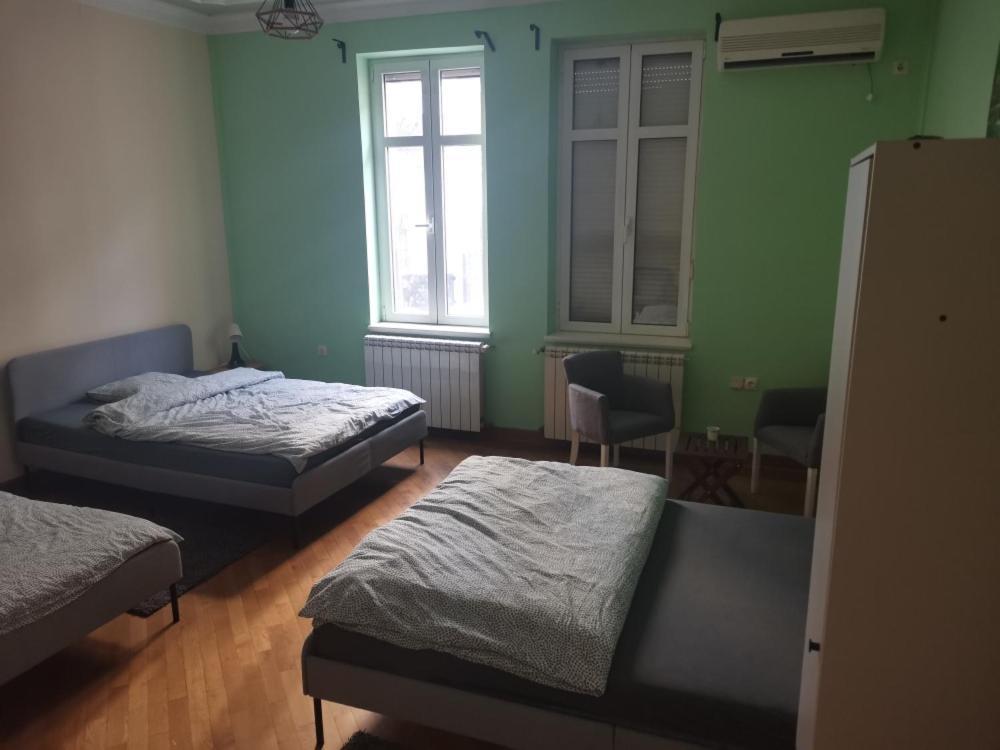 Cozy Palace Hostel Belgrád Kültér fotó