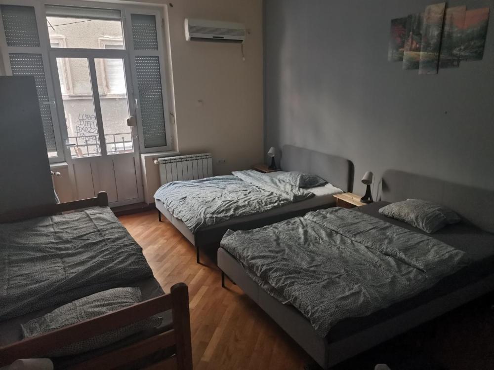 Cozy Palace Hostel Belgrád Kültér fotó