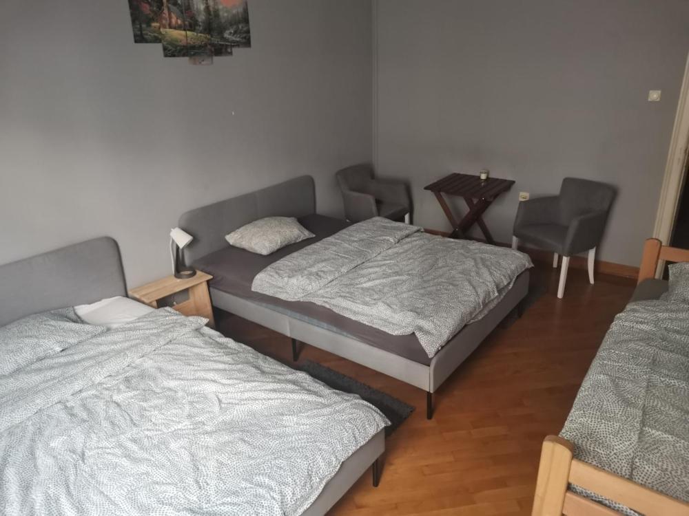 Cozy Palace Hostel Belgrád Kültér fotó